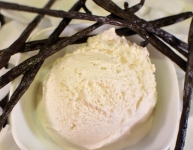 Vanilla Bean Ice Cream